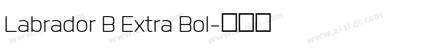 Labrador B Extra Bol字体转换